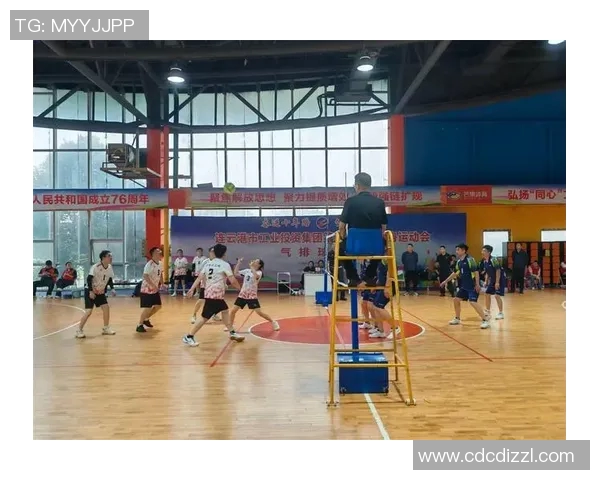 排球盛宴：深入探讨成都排球队的团队协作与默契配合