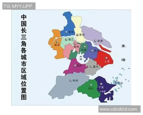 杭州乒乓球队在奥运会上的节奏表现与战术分析及未来发展展望