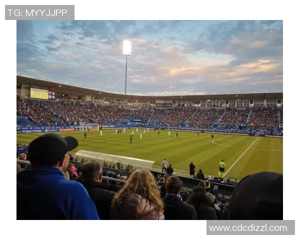 足球明星的辉煌历程与人生起伏探秘之旅 足球明星的辉煌历程与人生起伏探秘之旅