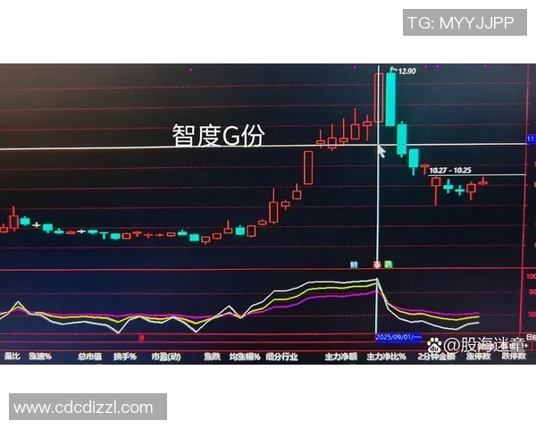 南京足球队与成都足球队赛后技术分析与战术复盘探讨