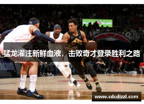 猛龙灌注新鲜血液，击败奇才登录胜利之路