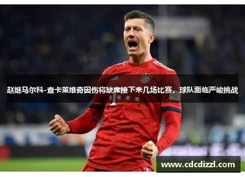 赵继马尔科-查卡莱维奇因伤将缺席接下来几场比赛，球队面临严峻挑战