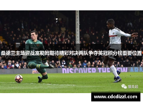 桑德兰主场迎战富勒姆期待精彩对决两队争夺英冠积分榜重要位置