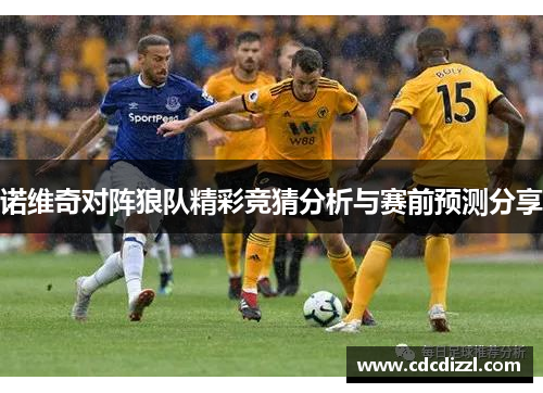 诺维奇对阵狼队精彩竞猜分析与赛前预测分享